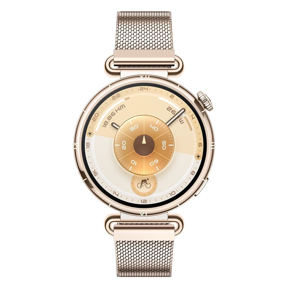 Smartwatch Huawei Watch GT 6 Konsu-B19M Golden 1,32″