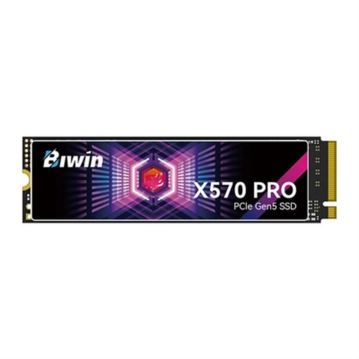Hard Drive Biwin X570 Pro 2 TB SSD