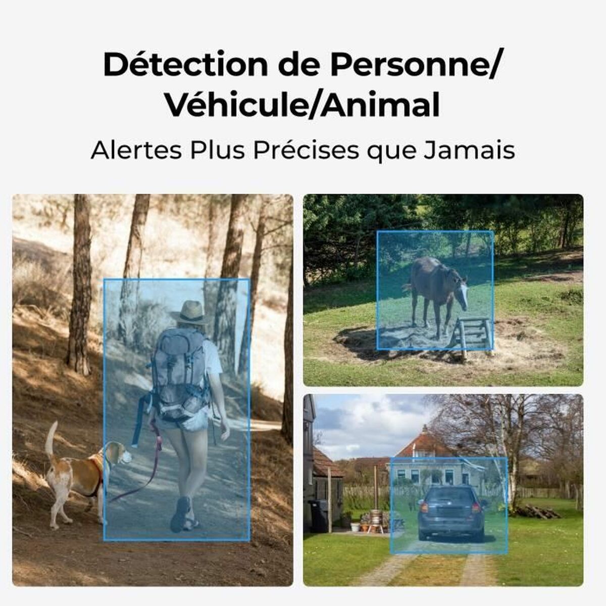 Surveillance Camcorder Reolink