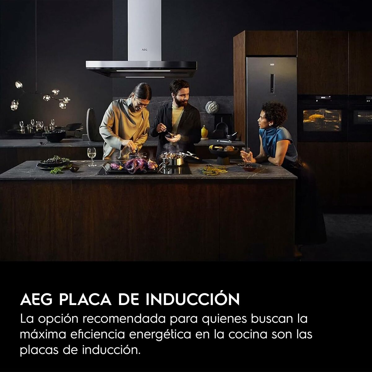 Induction Hot Plate AEG TN63IP0BFB