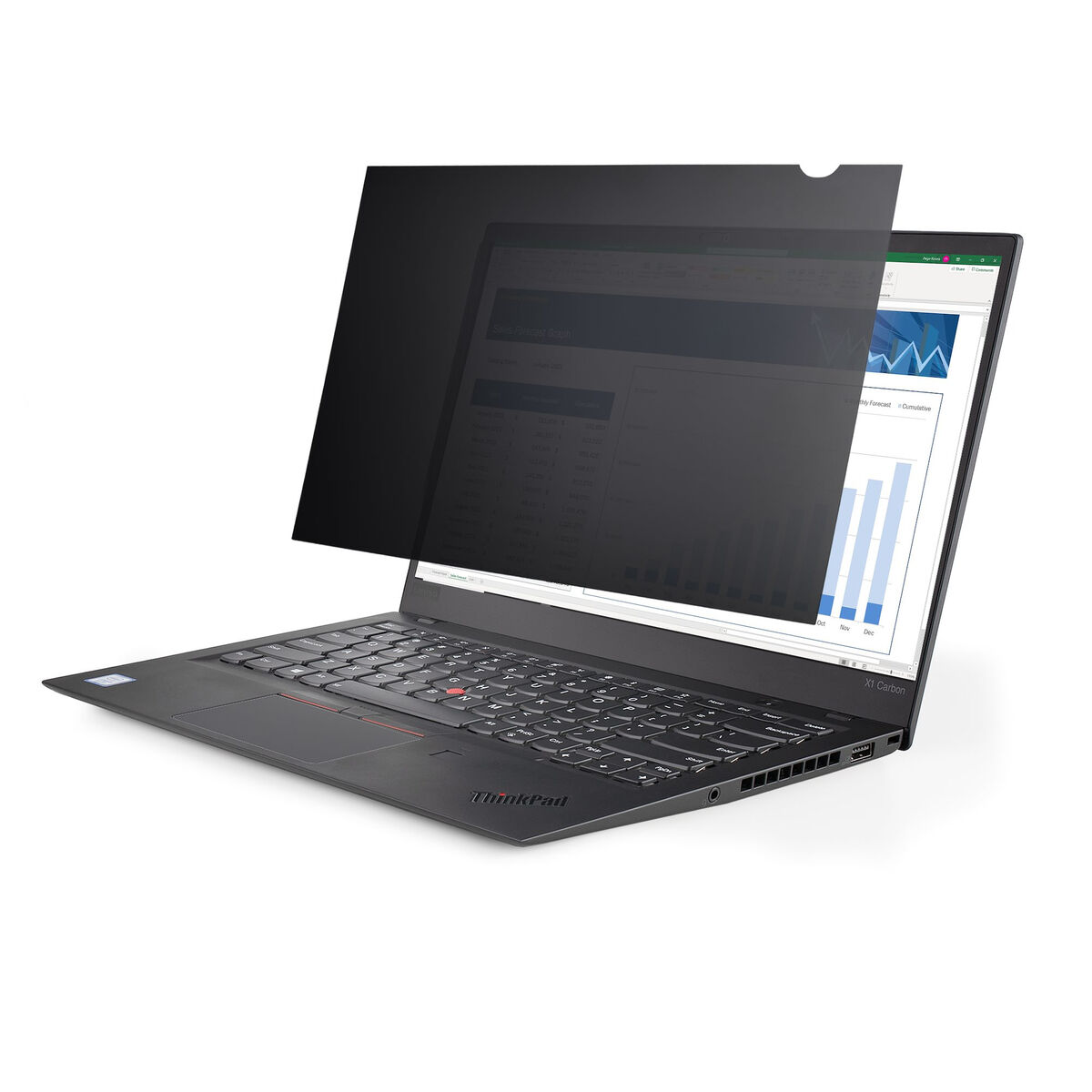 Screen Protector Startech Filtro de Privacidad para Portátil de 13,3in – Filtro para Monitor para Pantalla Ancha 16:9 – Protecto