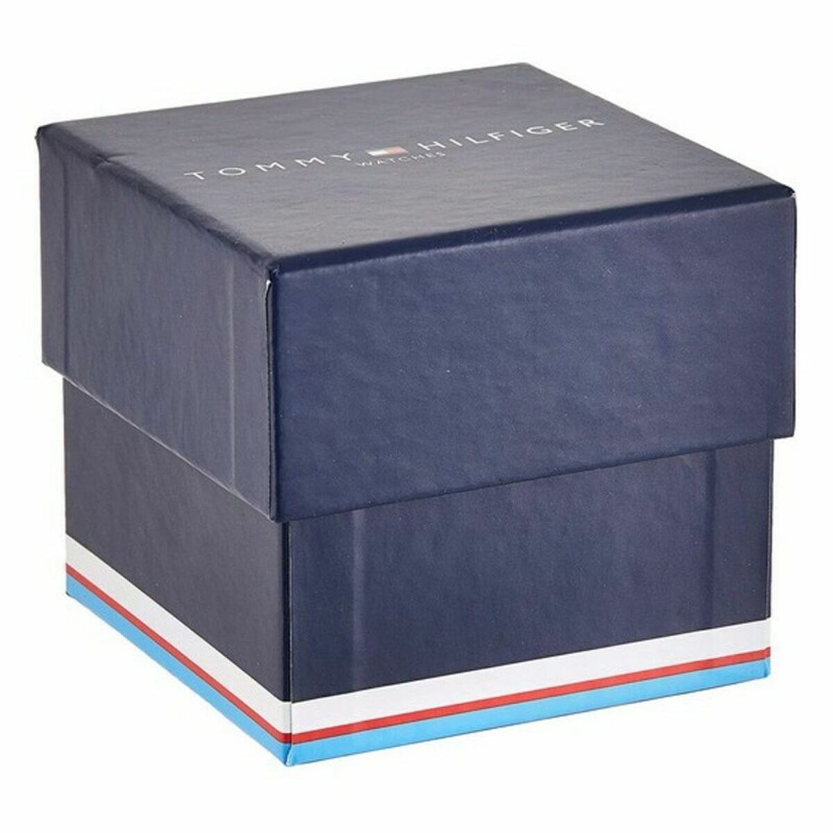 Men’s Watch Tommy Hilfiger 1669936 Black