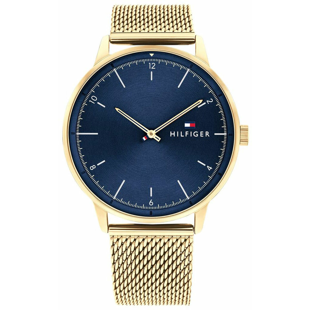 Men’s Watch Tommy Hilfiger 1791877 ( 43 mm)
