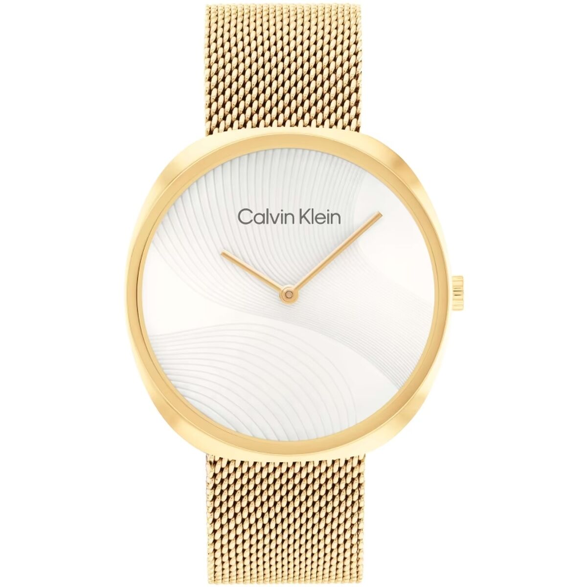 Men’s Watch Calvin Klein 1685215