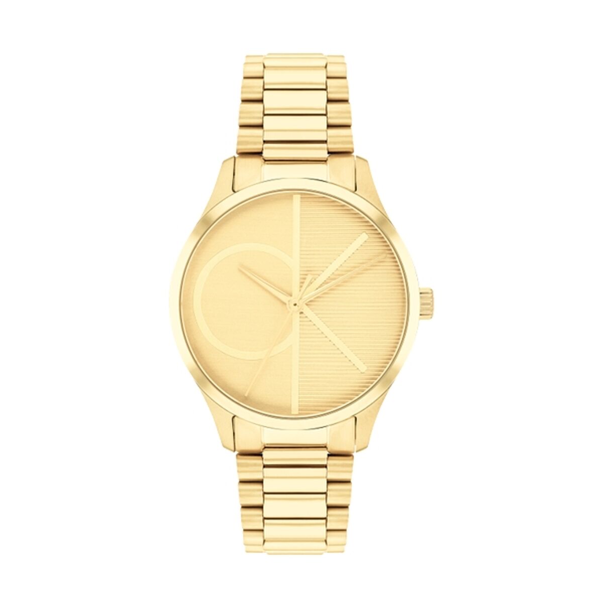 Ladies’ Watch Calvin Klein 25200346
