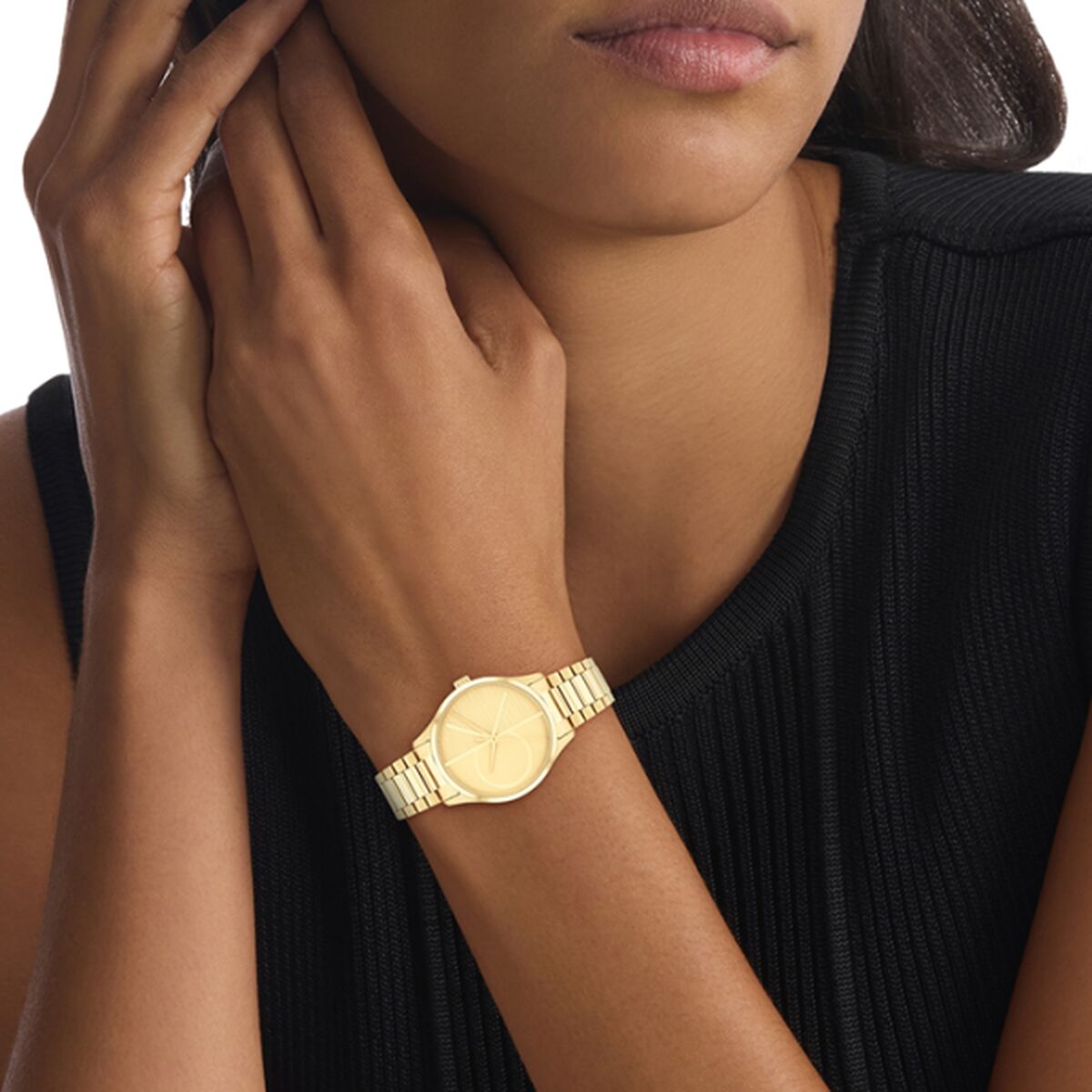 Ladies’ Watch Calvin Klein 25200346