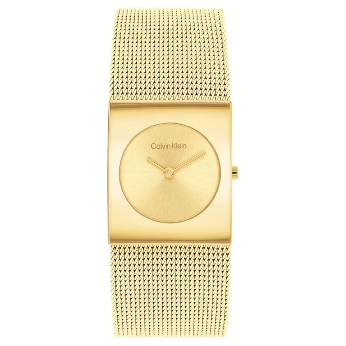 Men’s Watch Calvin Klein 1693551