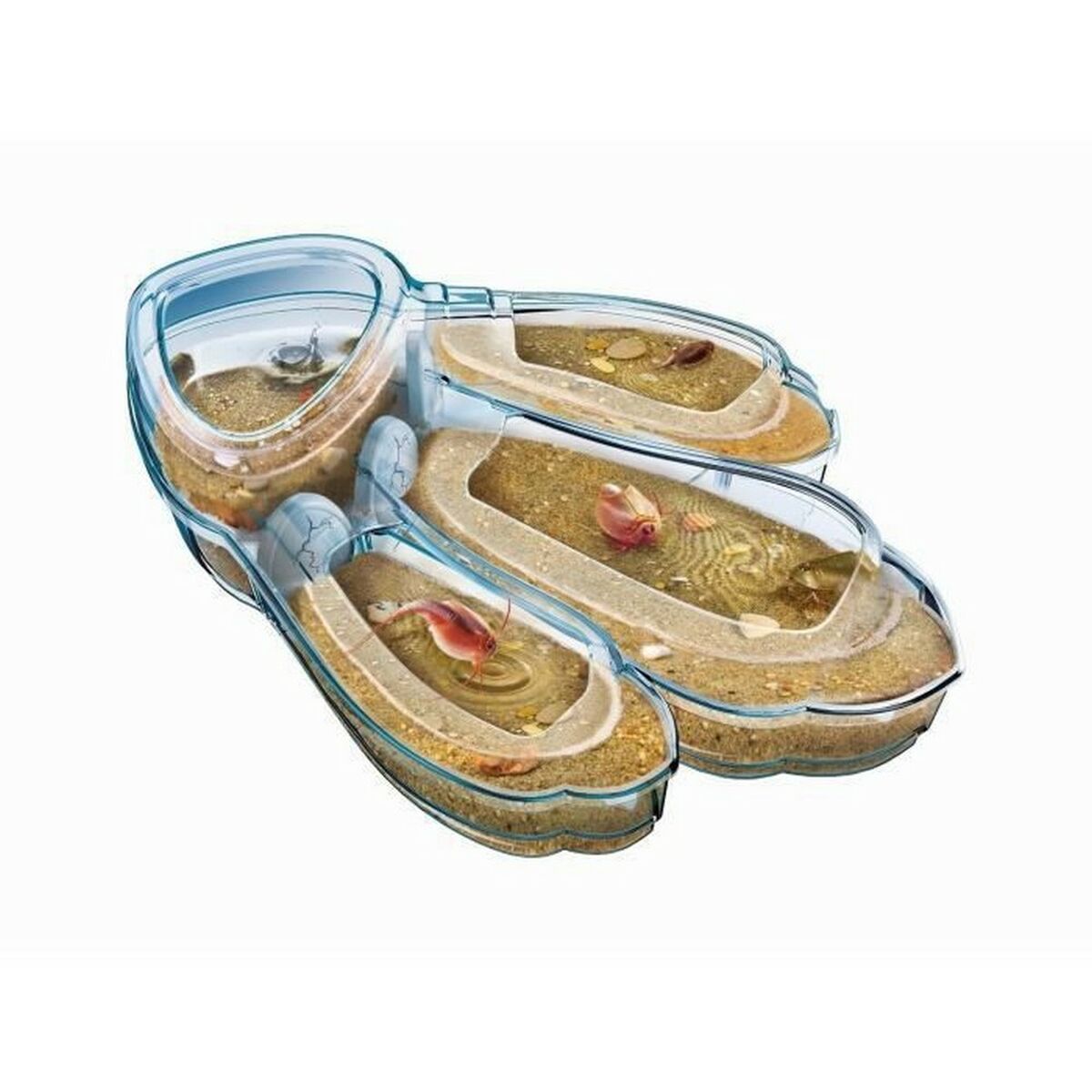 Science Game Clementoni Triops Les animaux prÃ©historiques FR