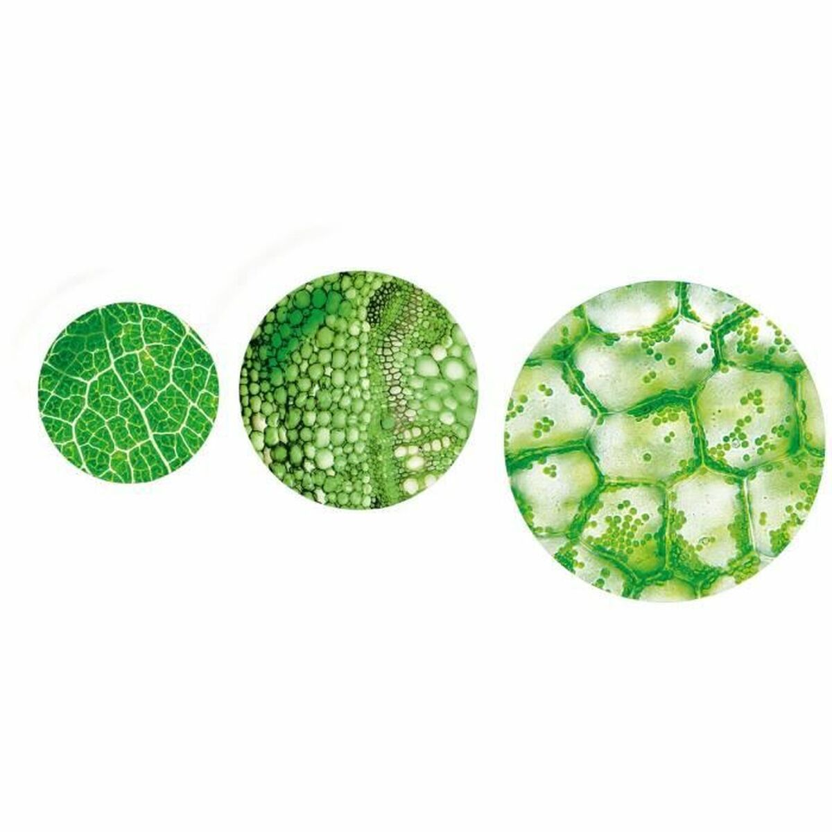 Science Game Baby Born Microscope & Expriences