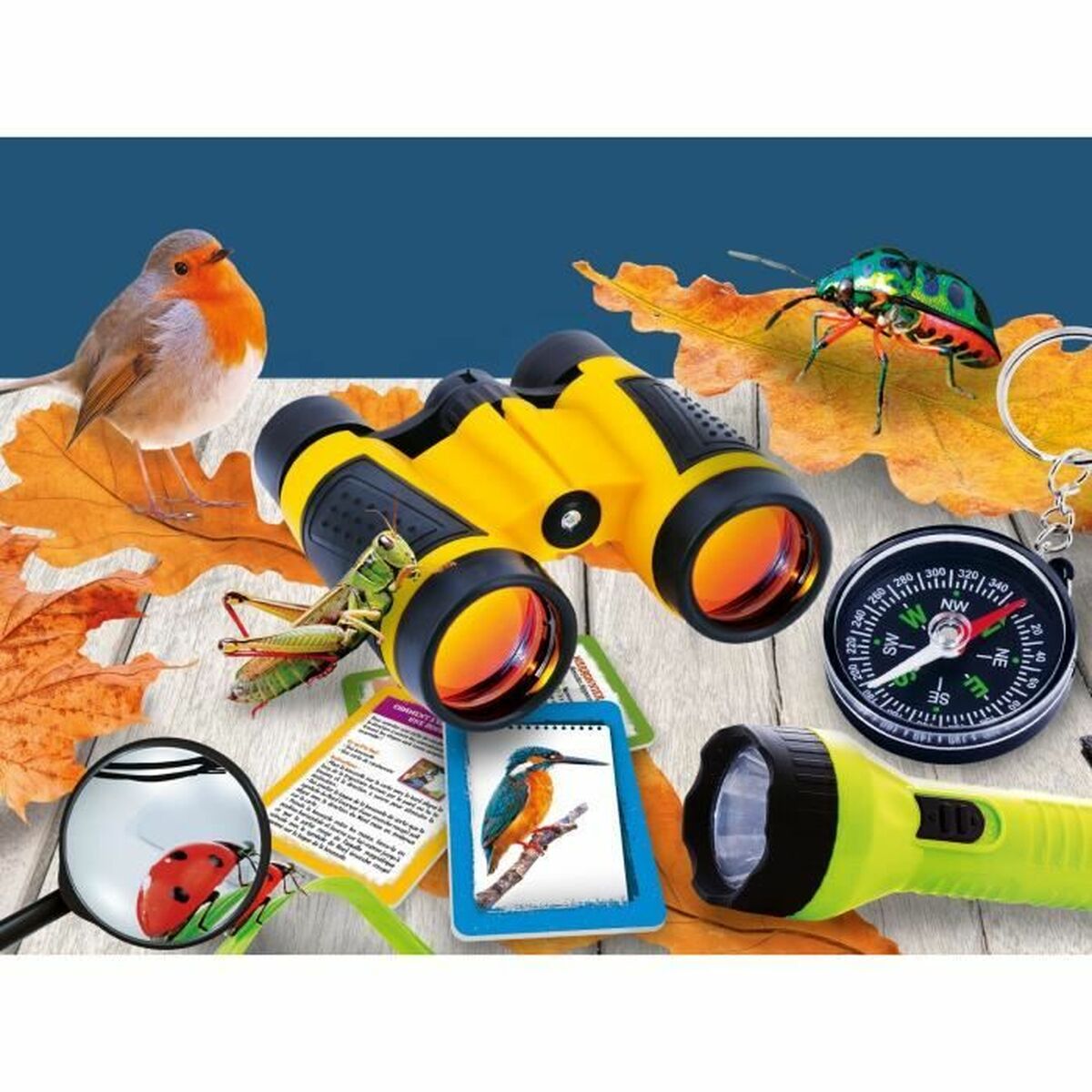 Educational game Lisciani Giochi Kit d’exploration de la nature (FR)