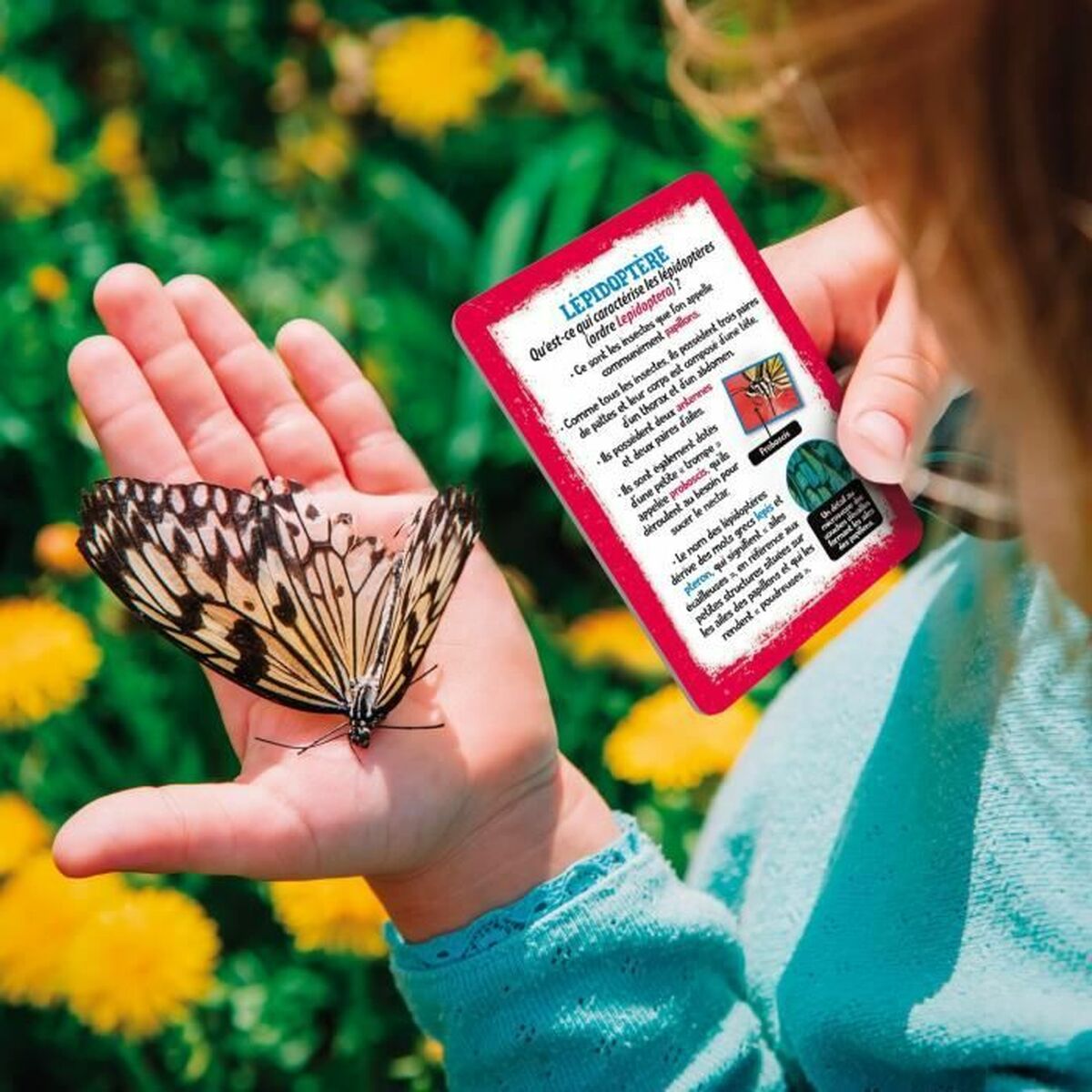 Educational game Lisciani Giochi Kit d’exploration de la nature (FR)