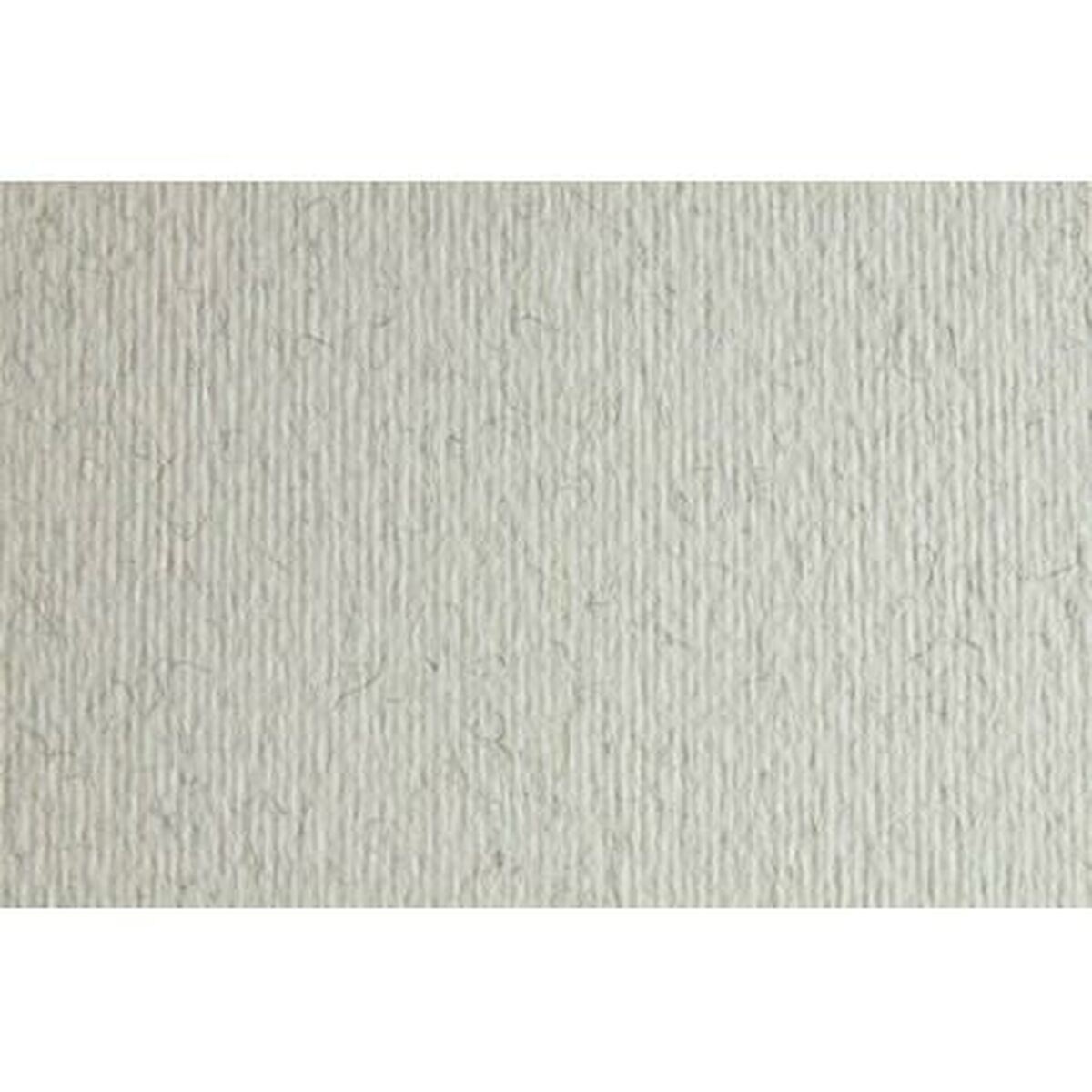 Card Sadipal LR 220 Light grey 50 x 70 cm Texturised (20 Units)