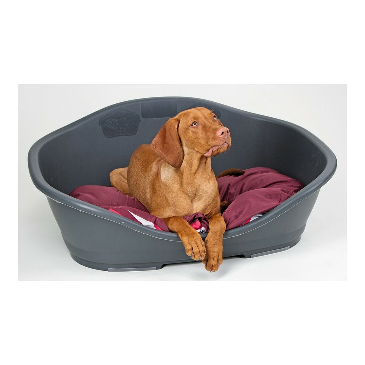Dog Bed Stefanplast Grey Plastic (49 x 27,5 x 68 cm)