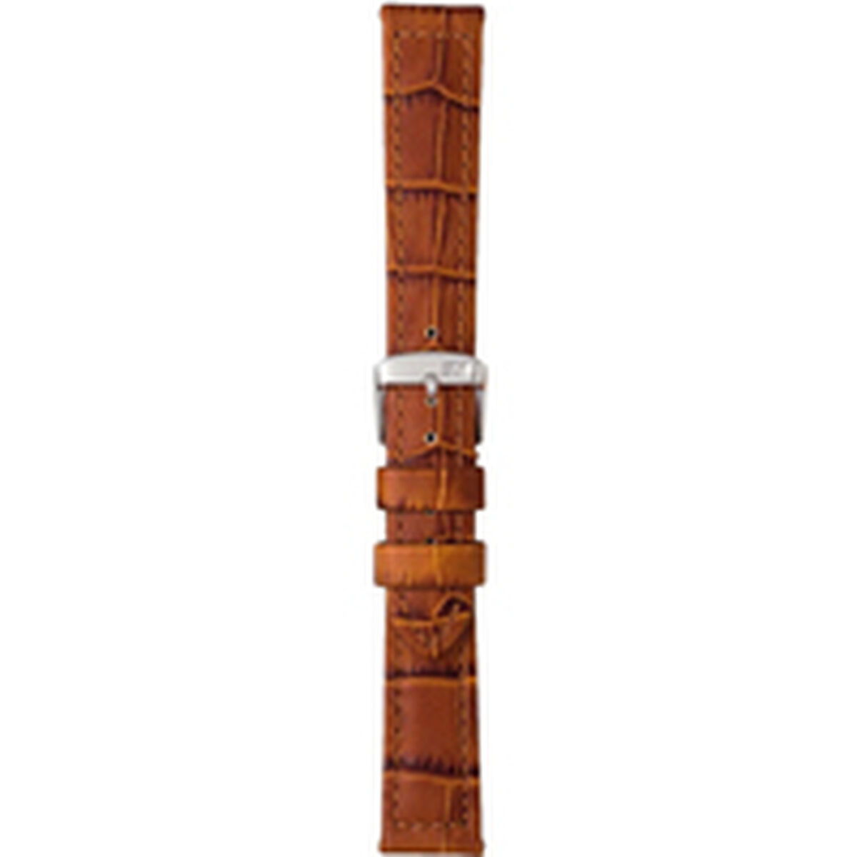 Watch Strap Morellato A01U2226480041CR24