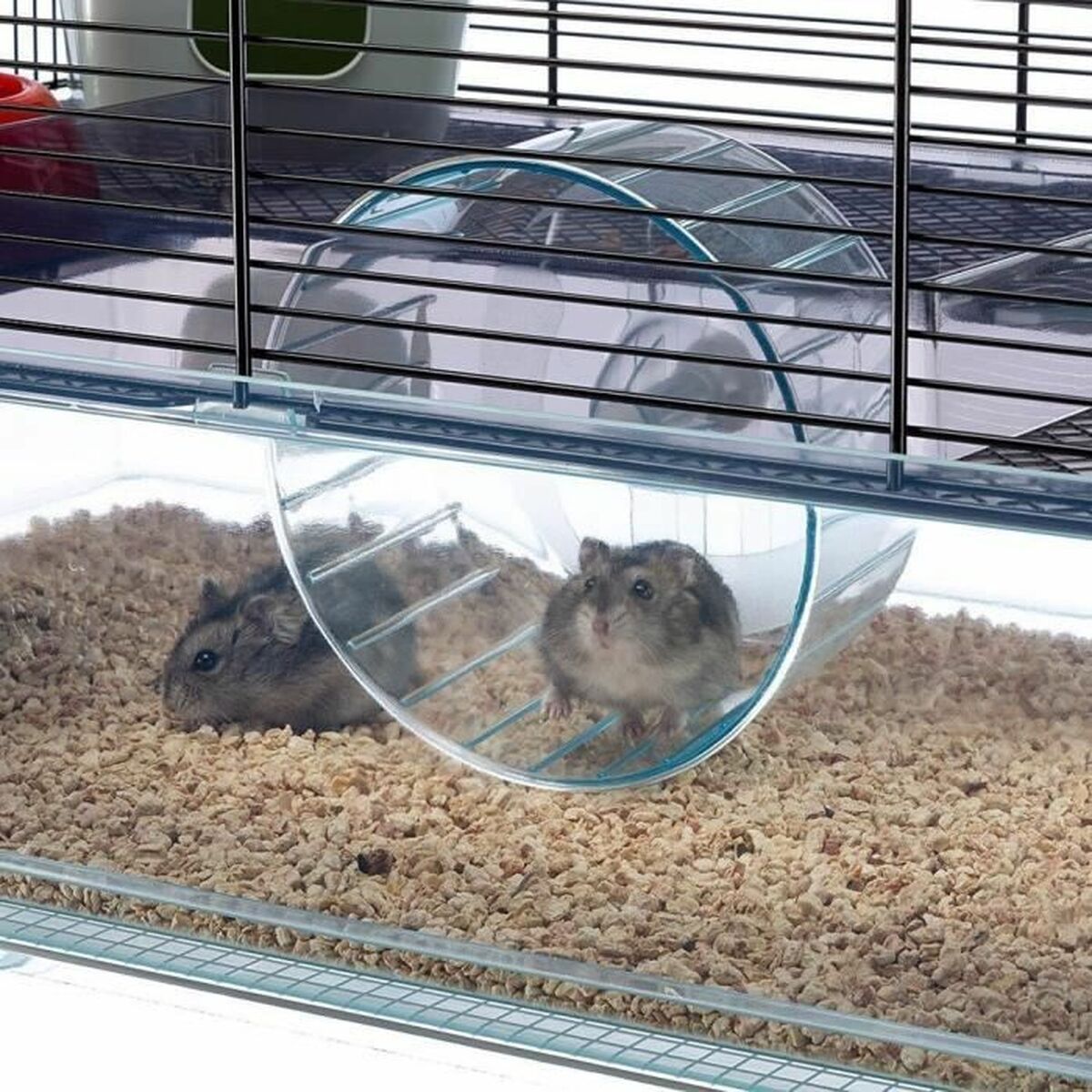 Cage Ferplast