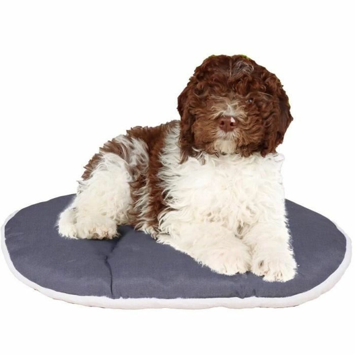Dog Bed Ferplast