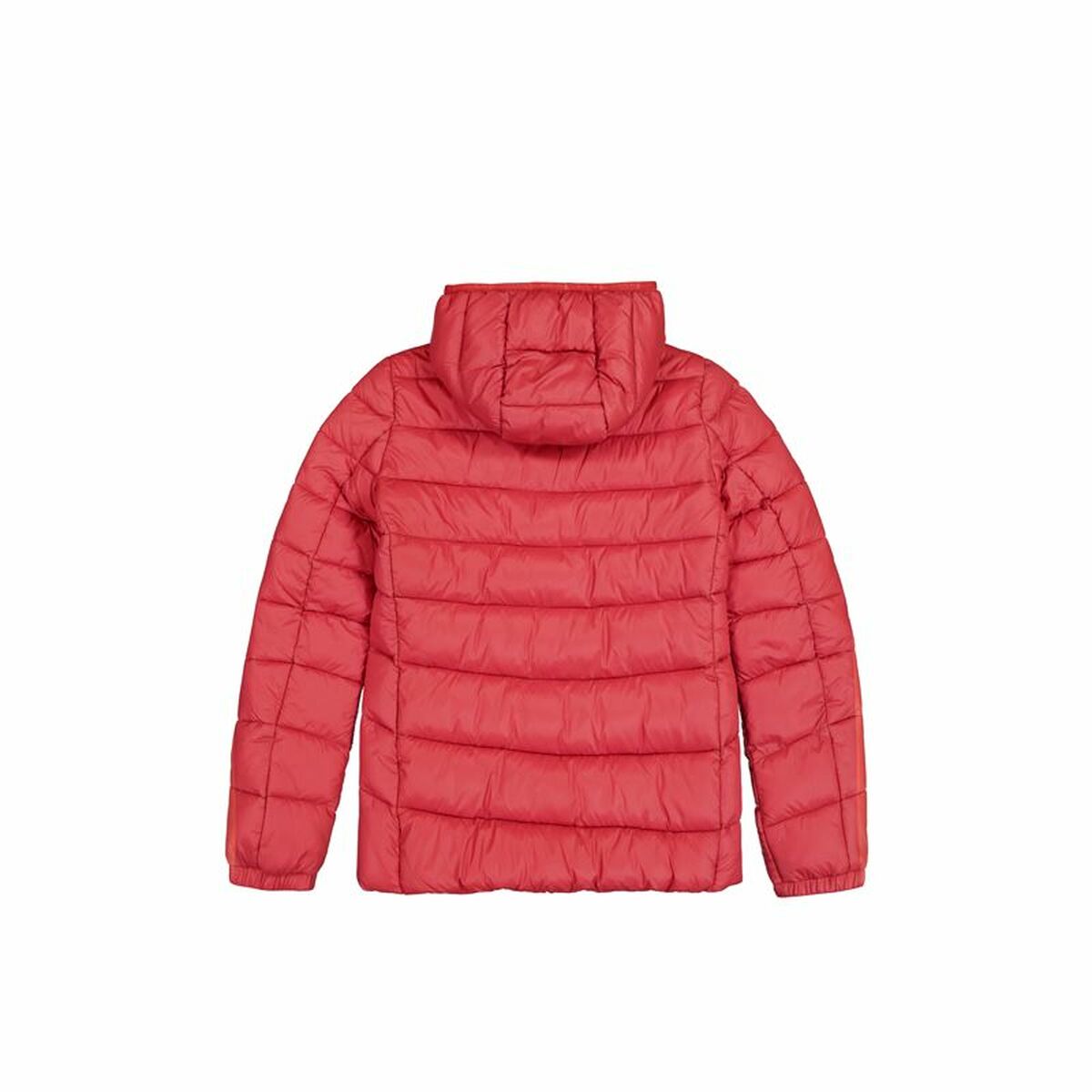 Women’s Sports Jacket Champion Hooded
