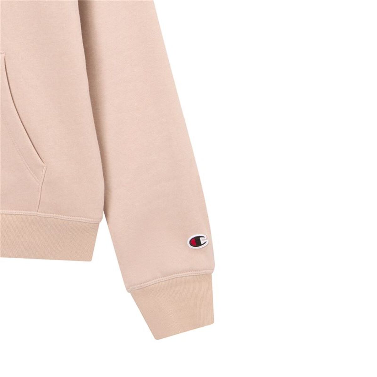 Womens Hoodie Champion Icons Tonal Chf