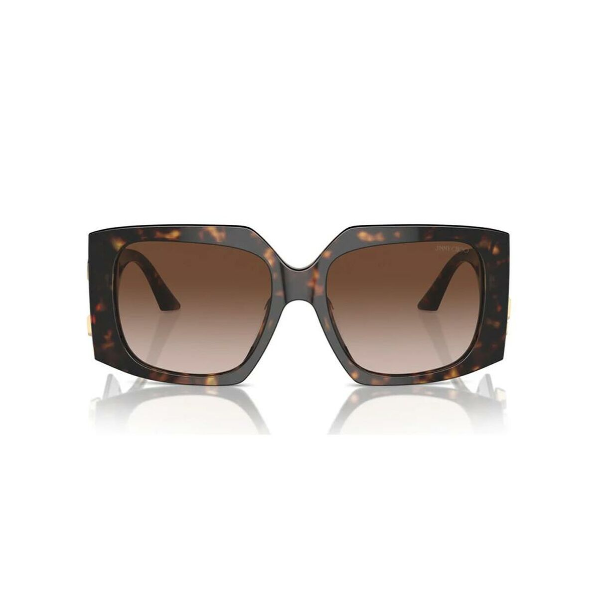 Ladies’ Sunglasses Jimmy Choo JC 5006U