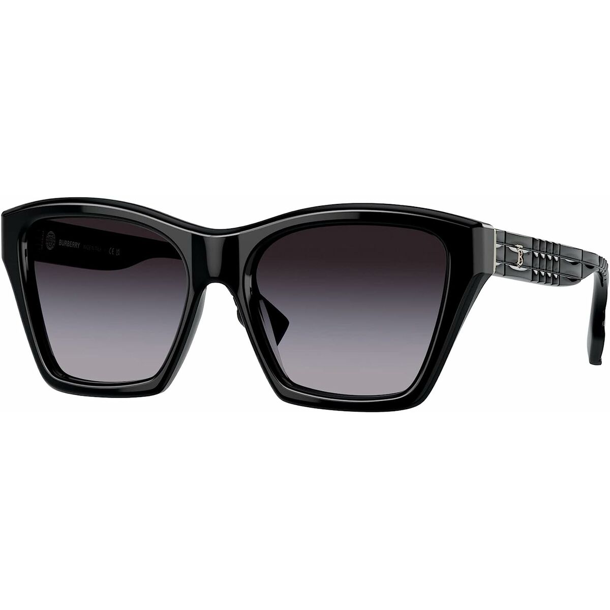 Ladies’ Sunglasses Burberry ARDEN BE 4391