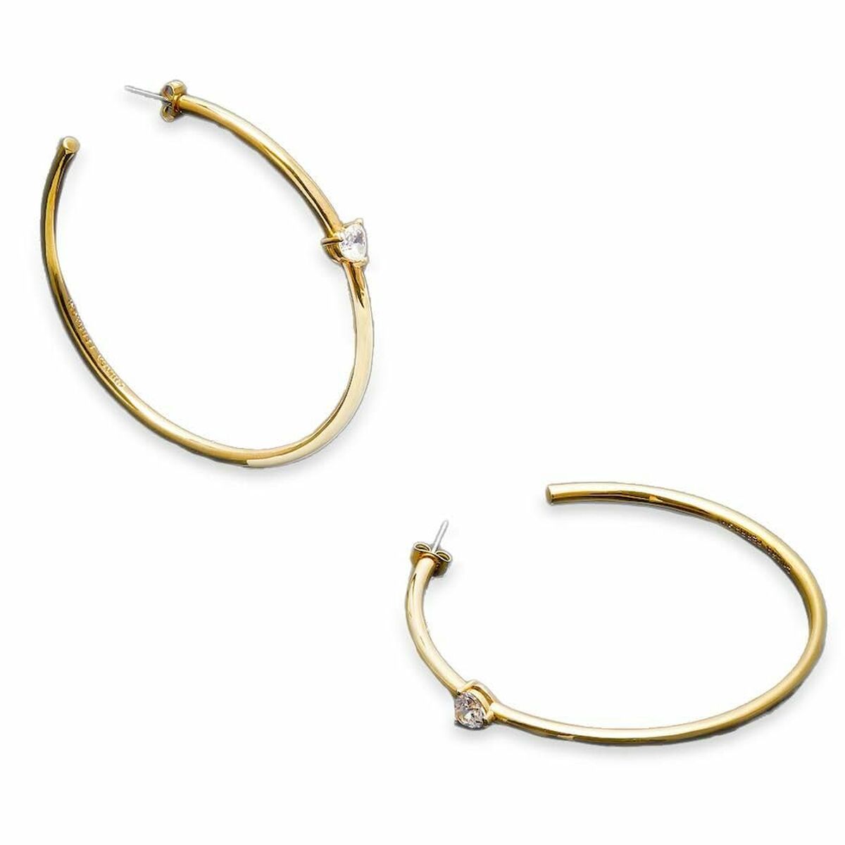 Ladies’ Earrings Chiara Ferragni 70 mm
