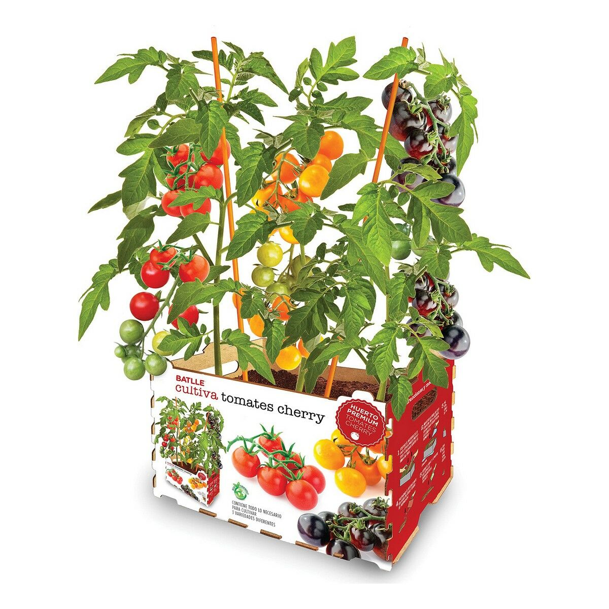 Cultivation Set Batlle Fresh Tomatoes 30 x 19,5 x 16,2 cm Cultivation Set Batlle Fresh Tomatoes 30 x 19,5 x 16,2 cm
