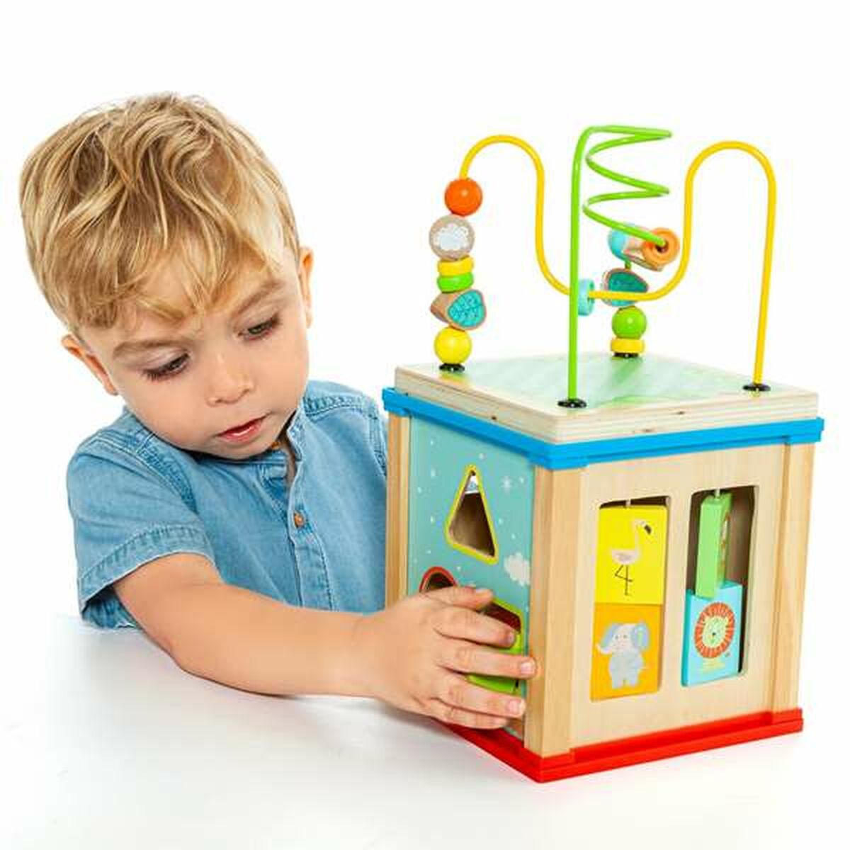 Activity centre Molt Bucket 5 Pieces
