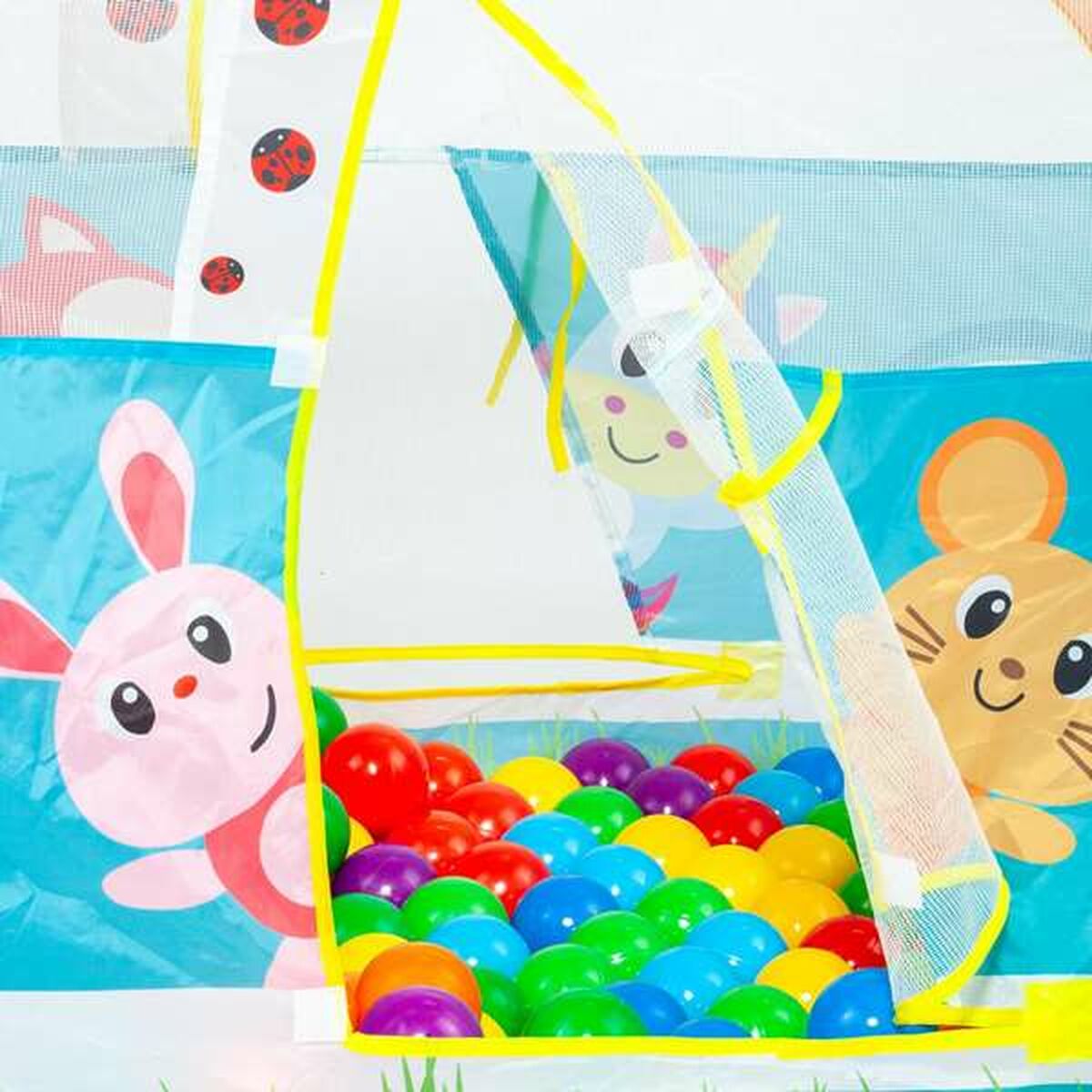 Ball Pool MoltÃ³ Car animals