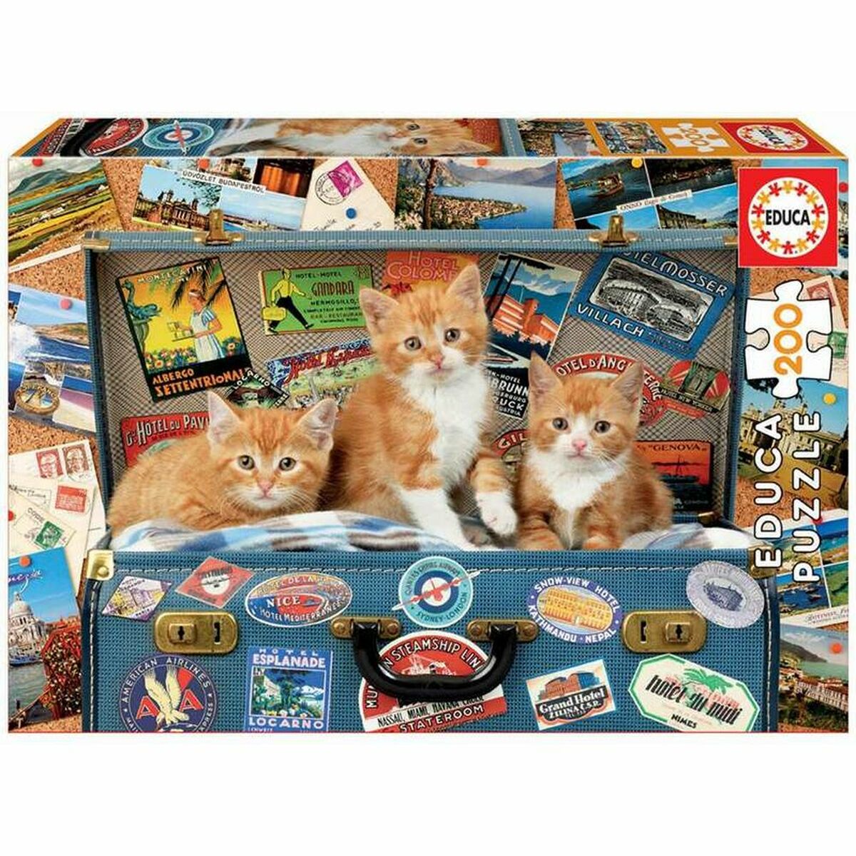 Puzzle Educa 18065 200 Pieces