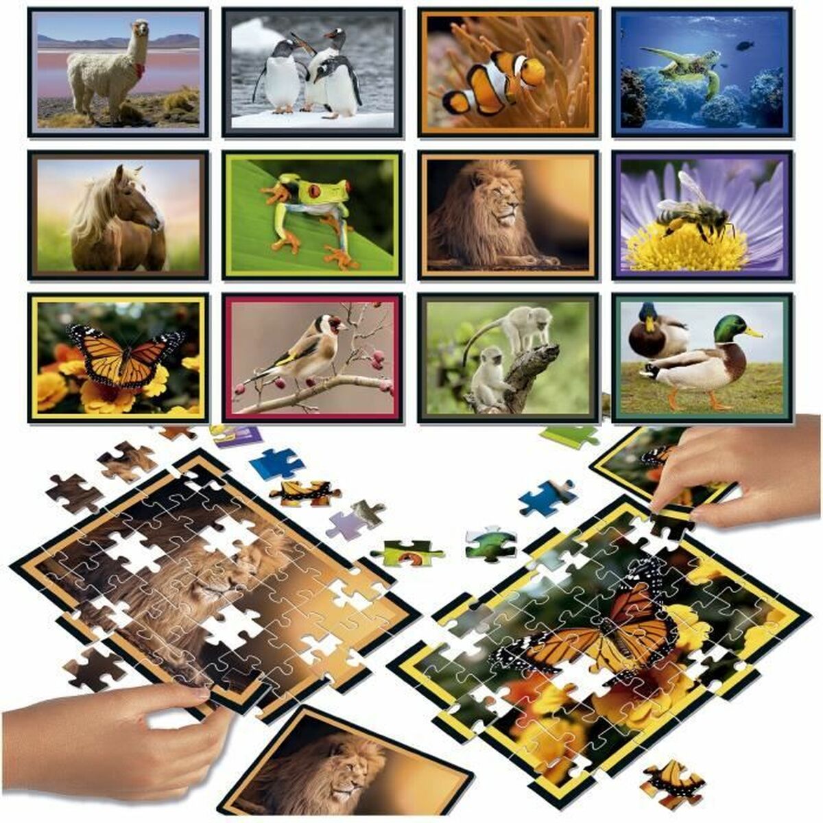 Puzzle Educa Battle Jr Natura 42 Pieces (12 Units)