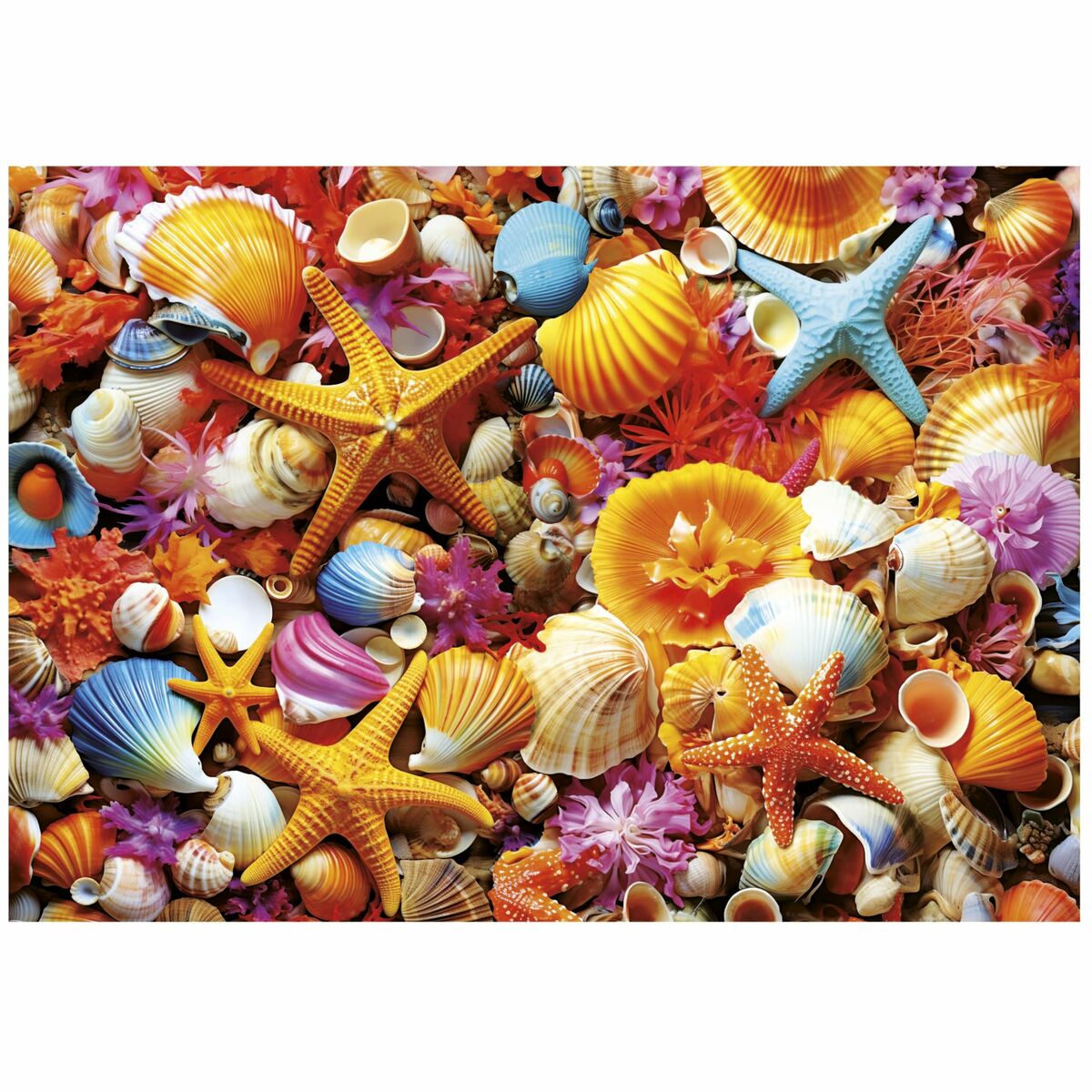 Puzzle Educa Collage de Conchas 1000 Pieces