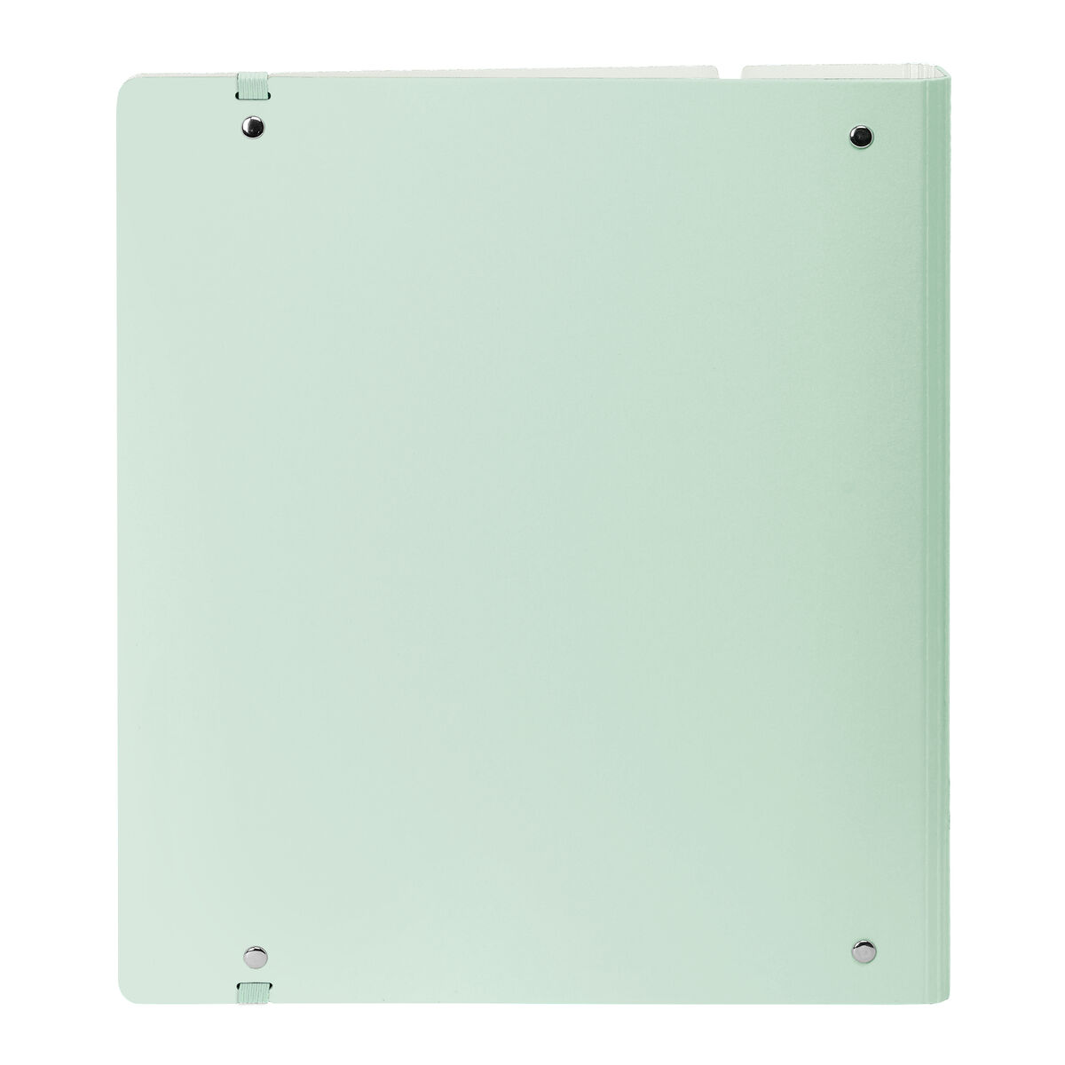 Ring binder Safta Light green Light Green Ring binder Safta Light green Light Green