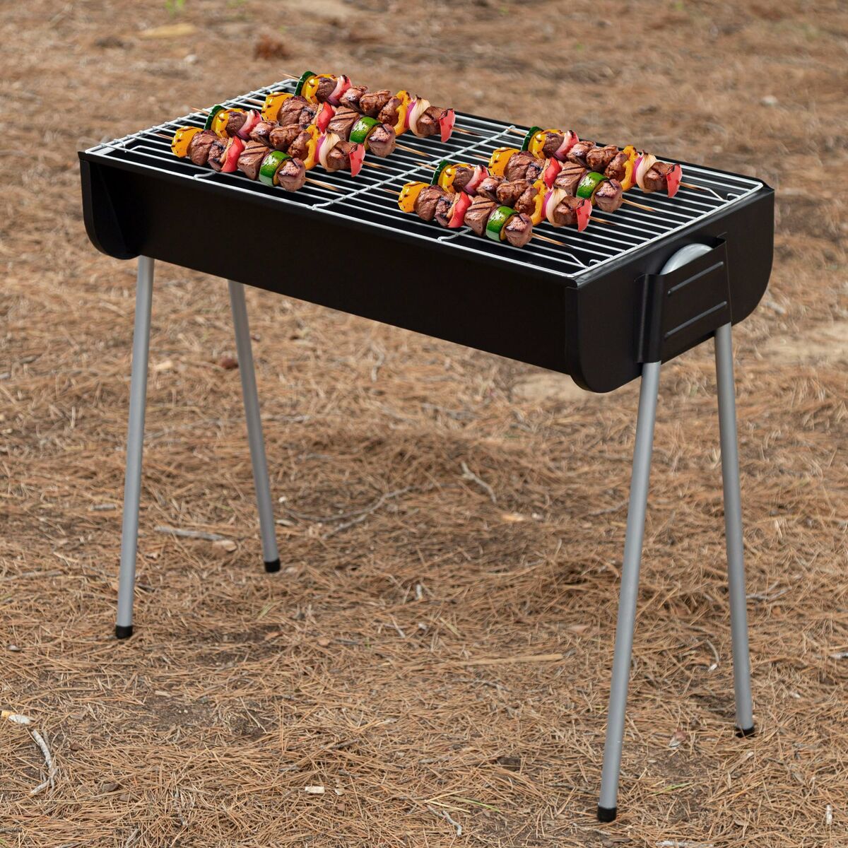 Barbecue Portable Aktive Steel