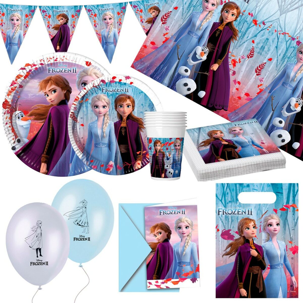Party supply set Frozen 66 Pieces Party supply set Frozen 66 Pieces