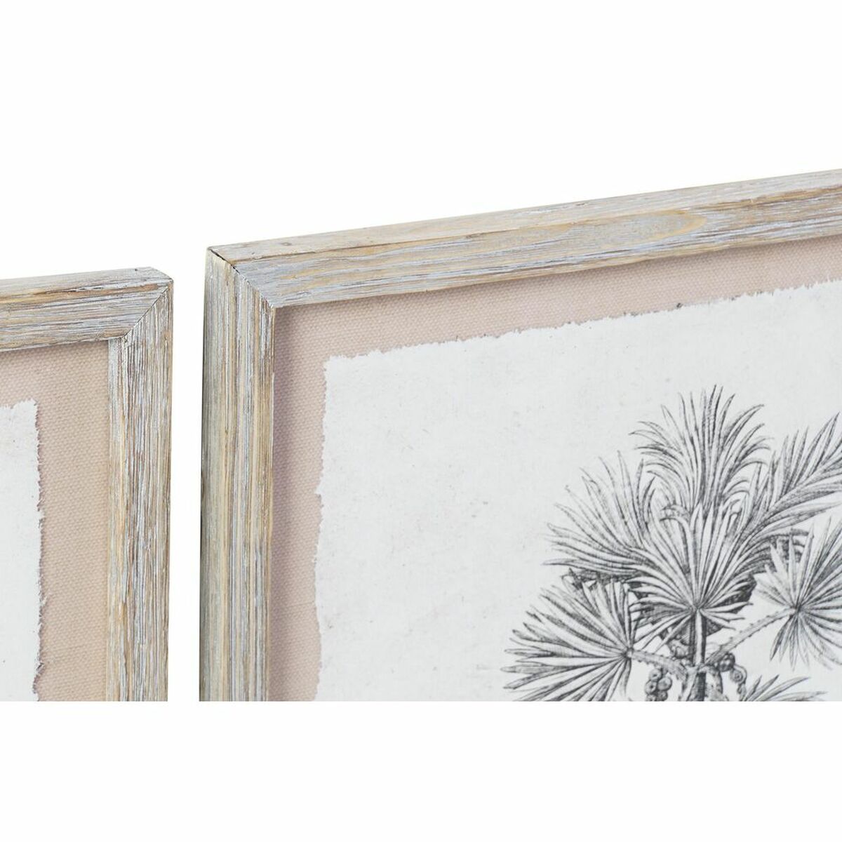 Painting DKD Home Decor Palms Colonial (35 x 1,8 x 45 cm) (9Units)