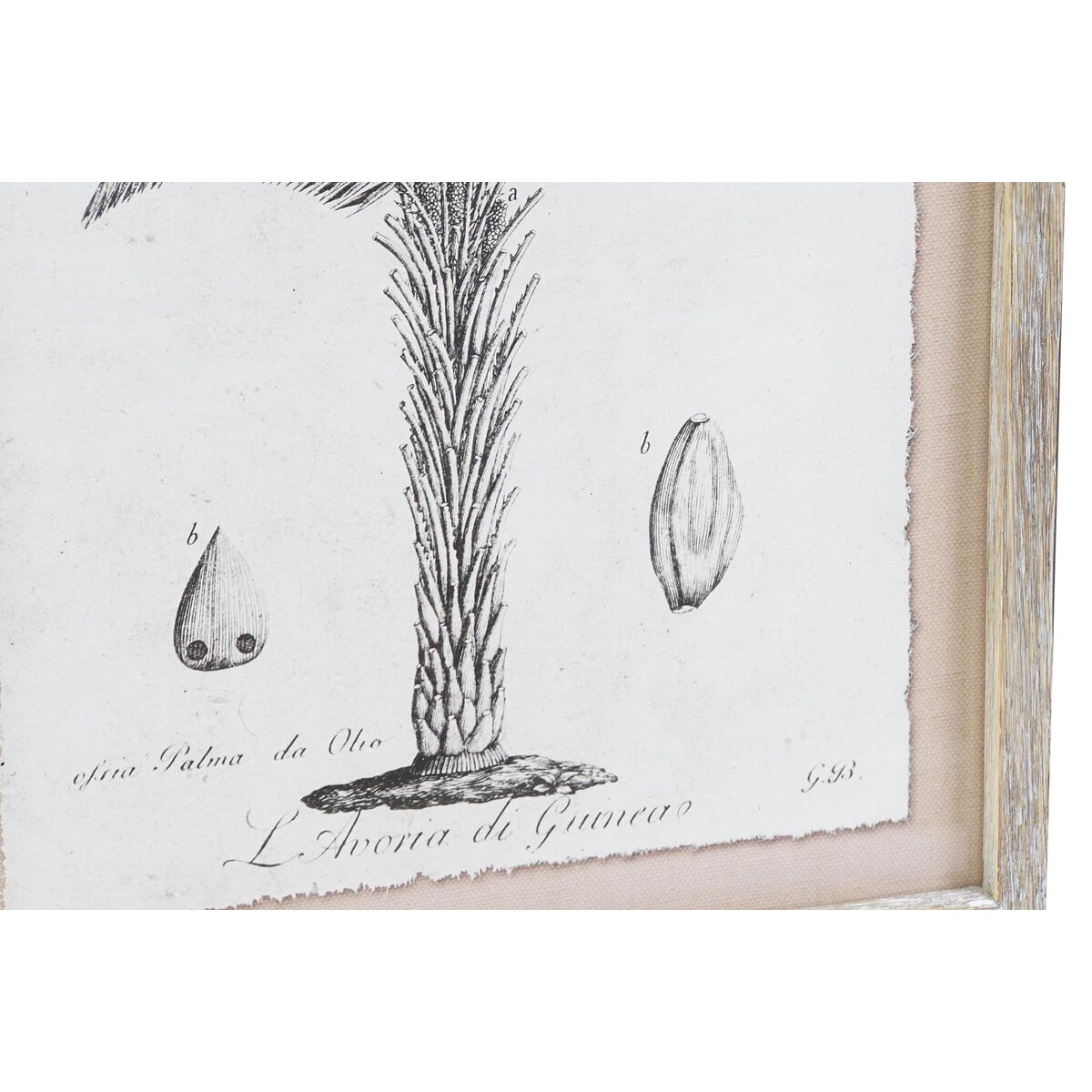 Painting DKD Home Decor Palms Colonial (35 x 1,8 x 45 cm) (9Units)