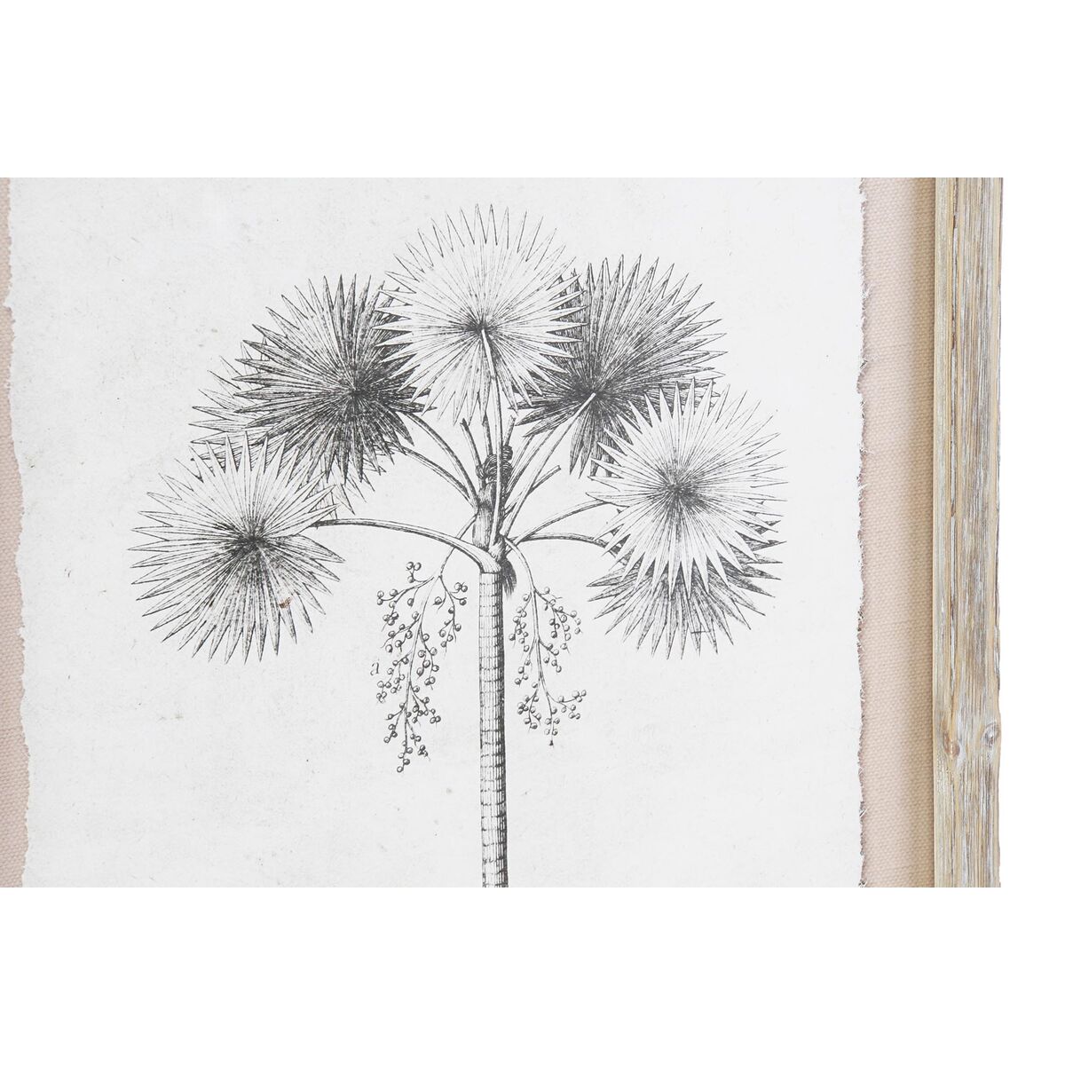 Painting DKD Home Decor Palms Colonial (35 x 1,8 x 45 cm) (9Units)