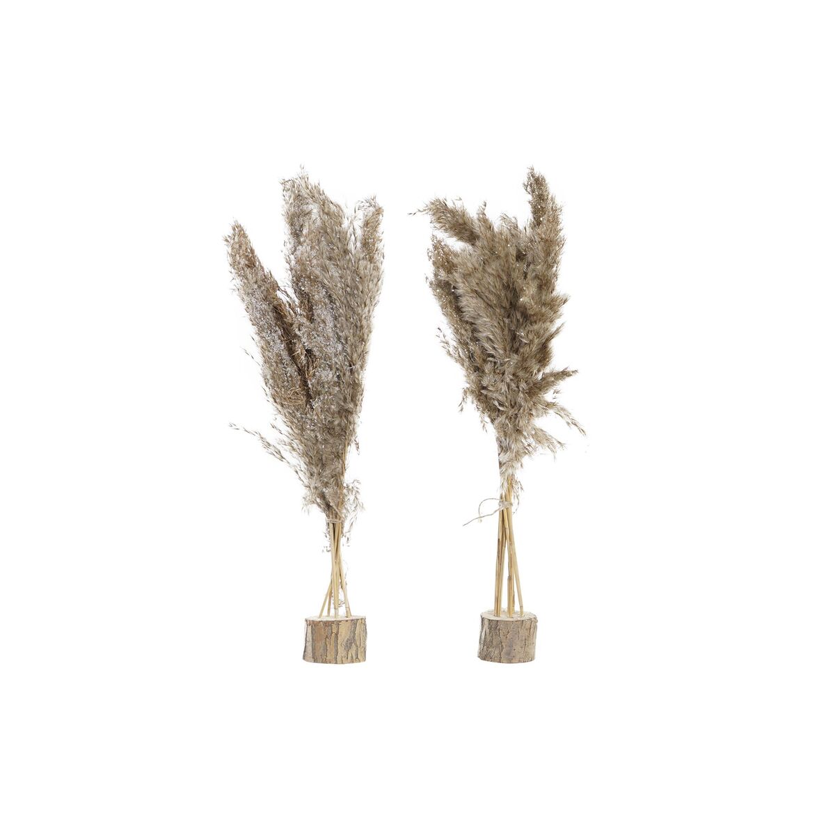Decorative Plant DKD Home Decor Feathers PVC Fibre (35 x 25 x 55 cm) (2 Units)