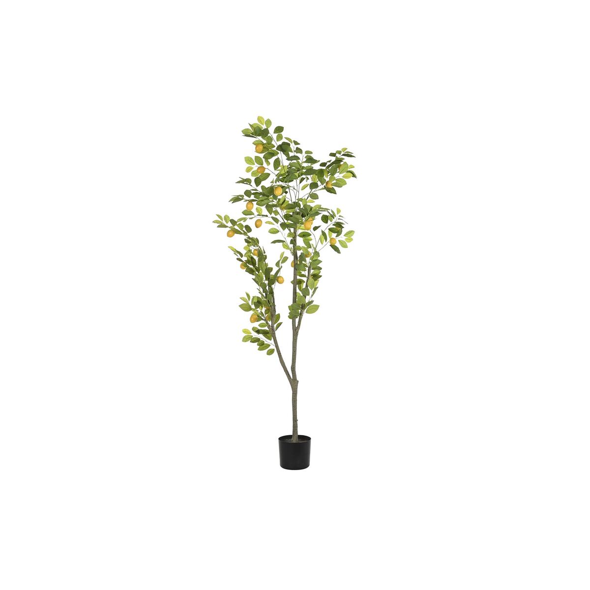 Tree DKD Home Decor Lemon tree Polyester polypropylene (90 x 90 x 180 cm) Tree DKD Home Decor Lemon tree Polyester polypropylene (90 x 90 x 180 cm)