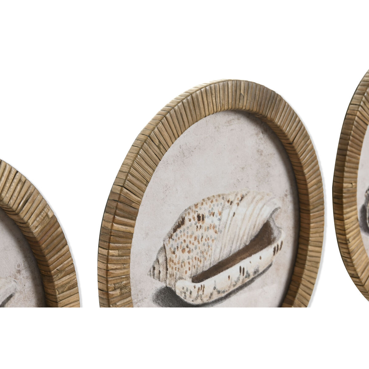 Painting Home ESPRIT Natural Mediterranean Snail 30 x 2 x 30 cm (9Units)