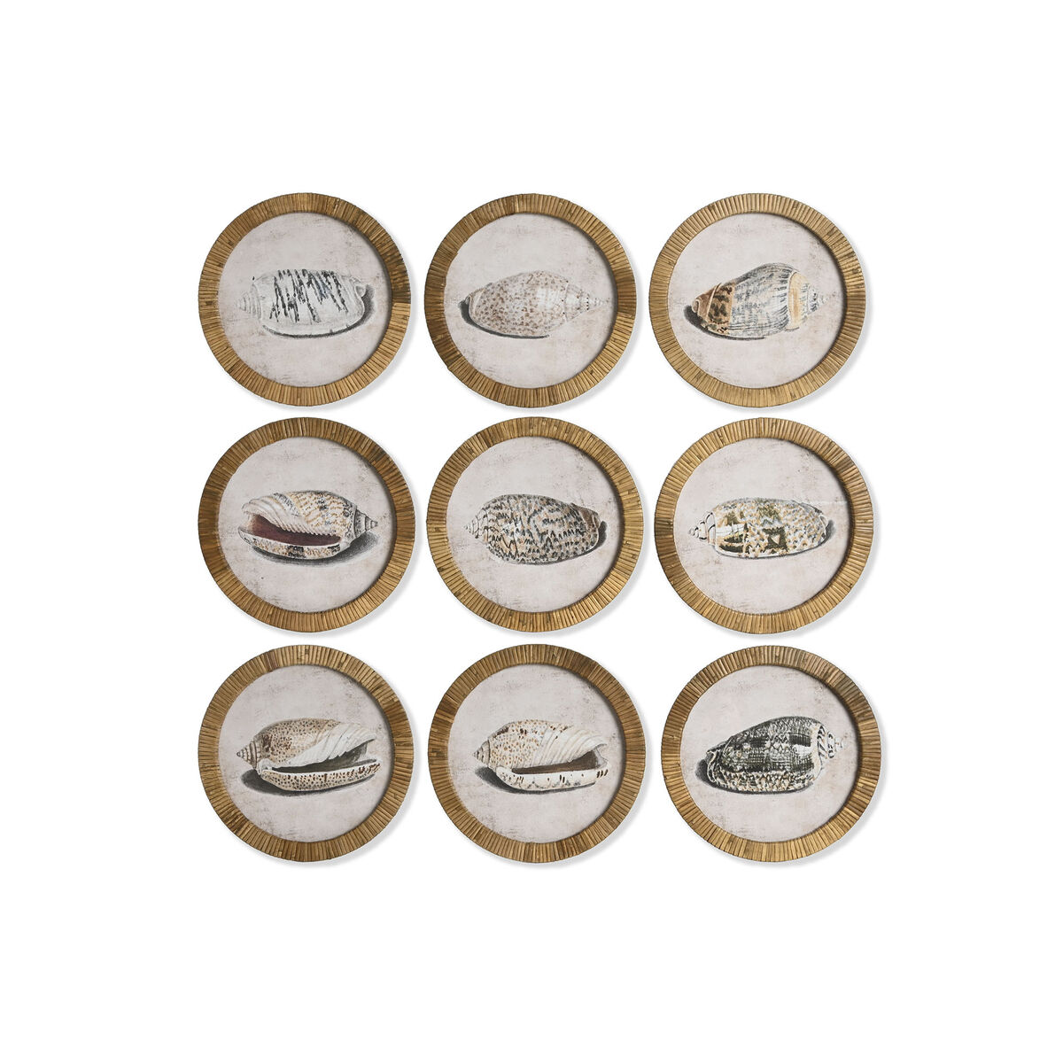 Painting Home ESPRIT Natural Mediterranean Snail 30 x 2 x 30 cm (9Units)