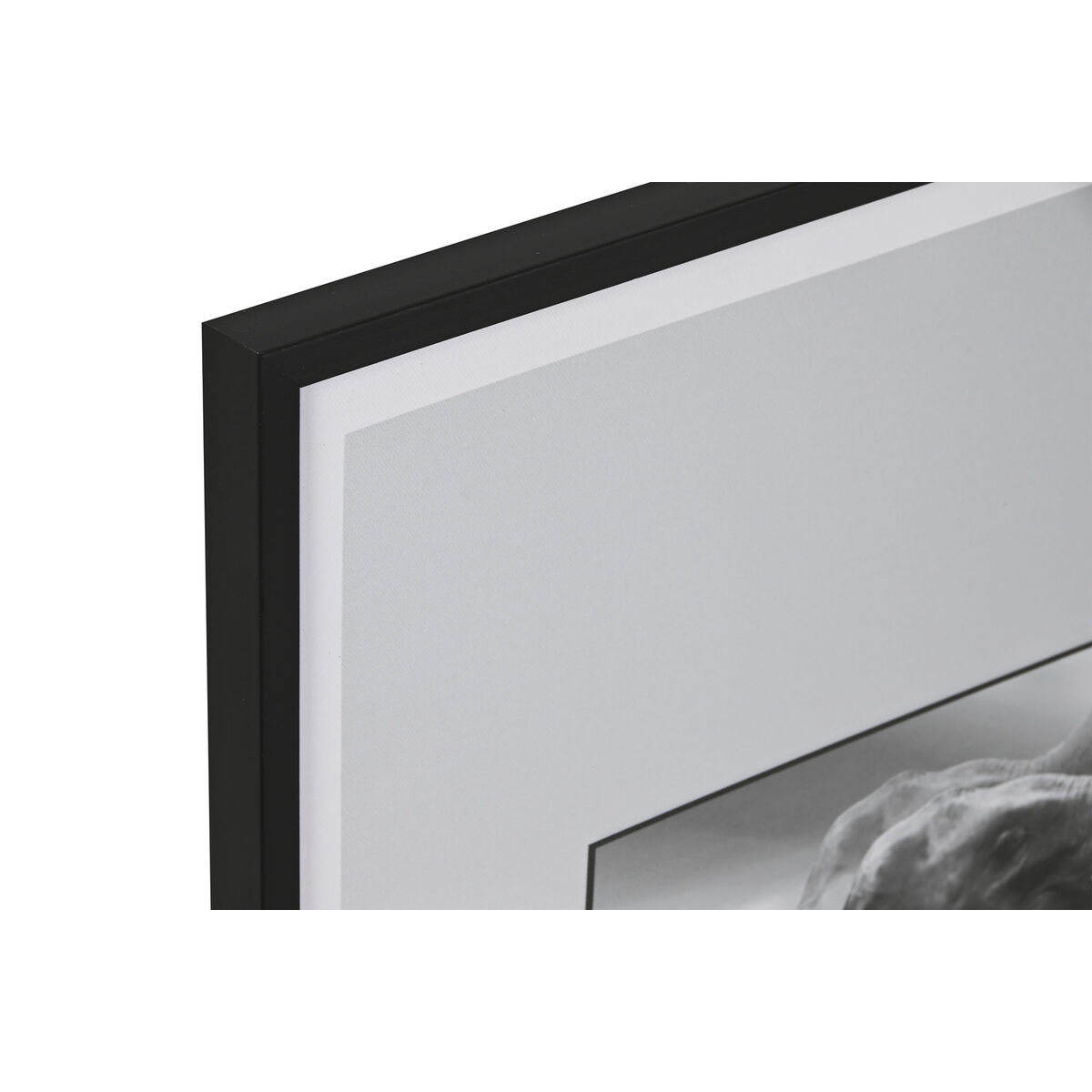 Painting Home ESPRIT White Black Animal Vintage 45 x 2,2 x 60 cm (4 Units)