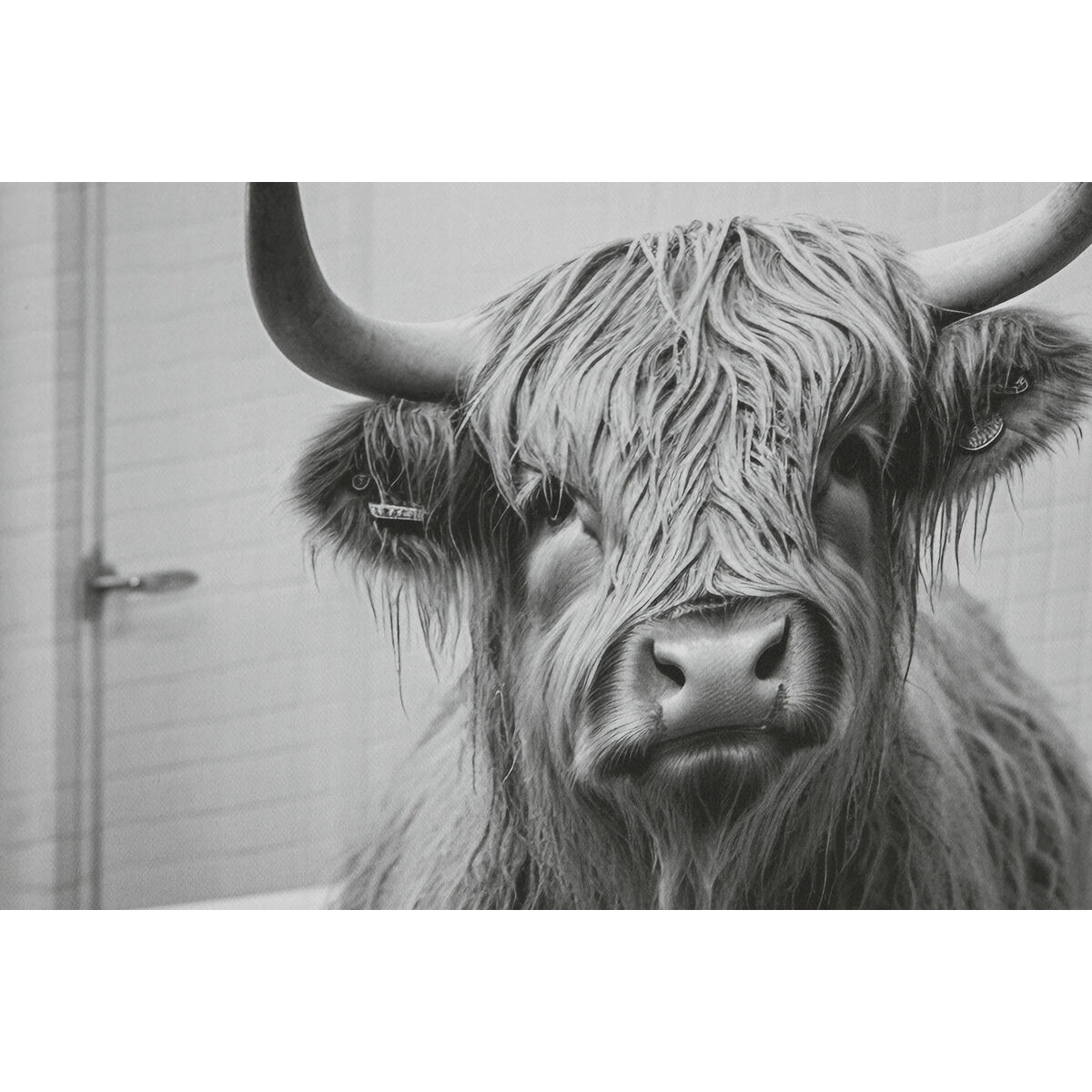 Painting Home ESPRIT White Black Animal Vintage 45 x 2,2 x 60 cm (4 Units)