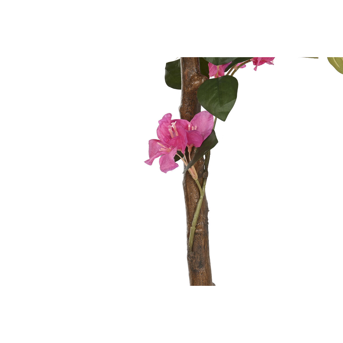 Decorative Plant Home ESPRIT Polyethylene
