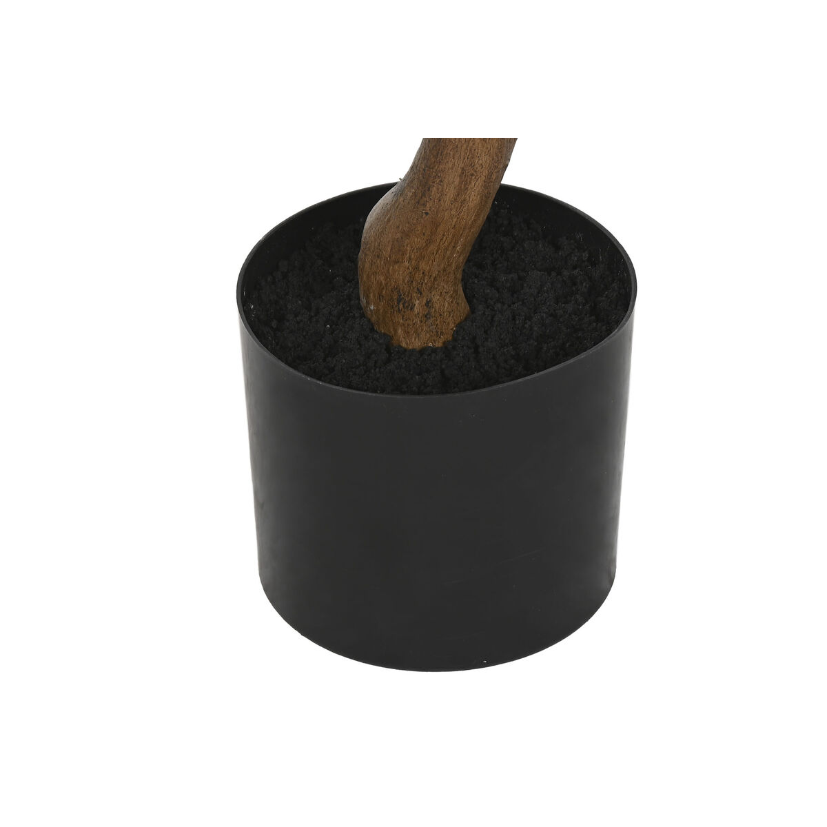 Decorative Plant Home ESPRIT Polyethylene