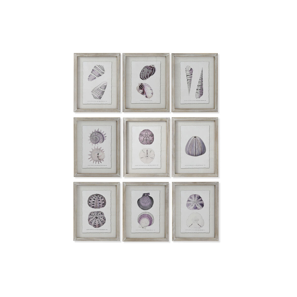 Painting Home ESPRIT Coral 35 x 2 x 45 cm (9Units)