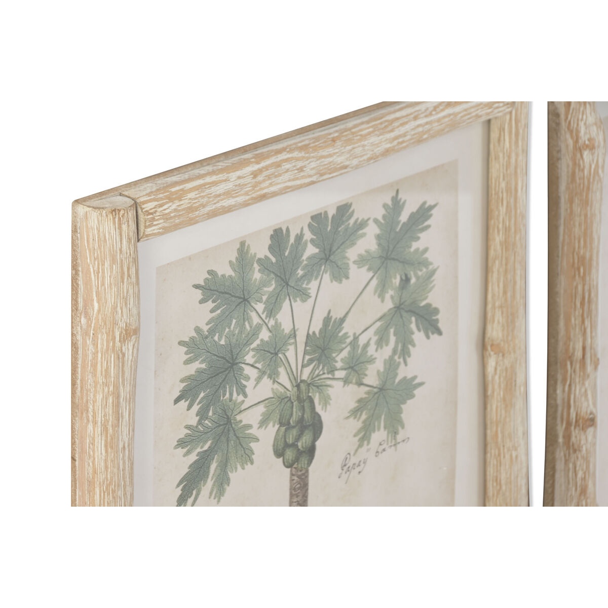 Painting Home ESPRIT Green Beige Tropical 40 x 3,5 x 50 cm (2 Units)