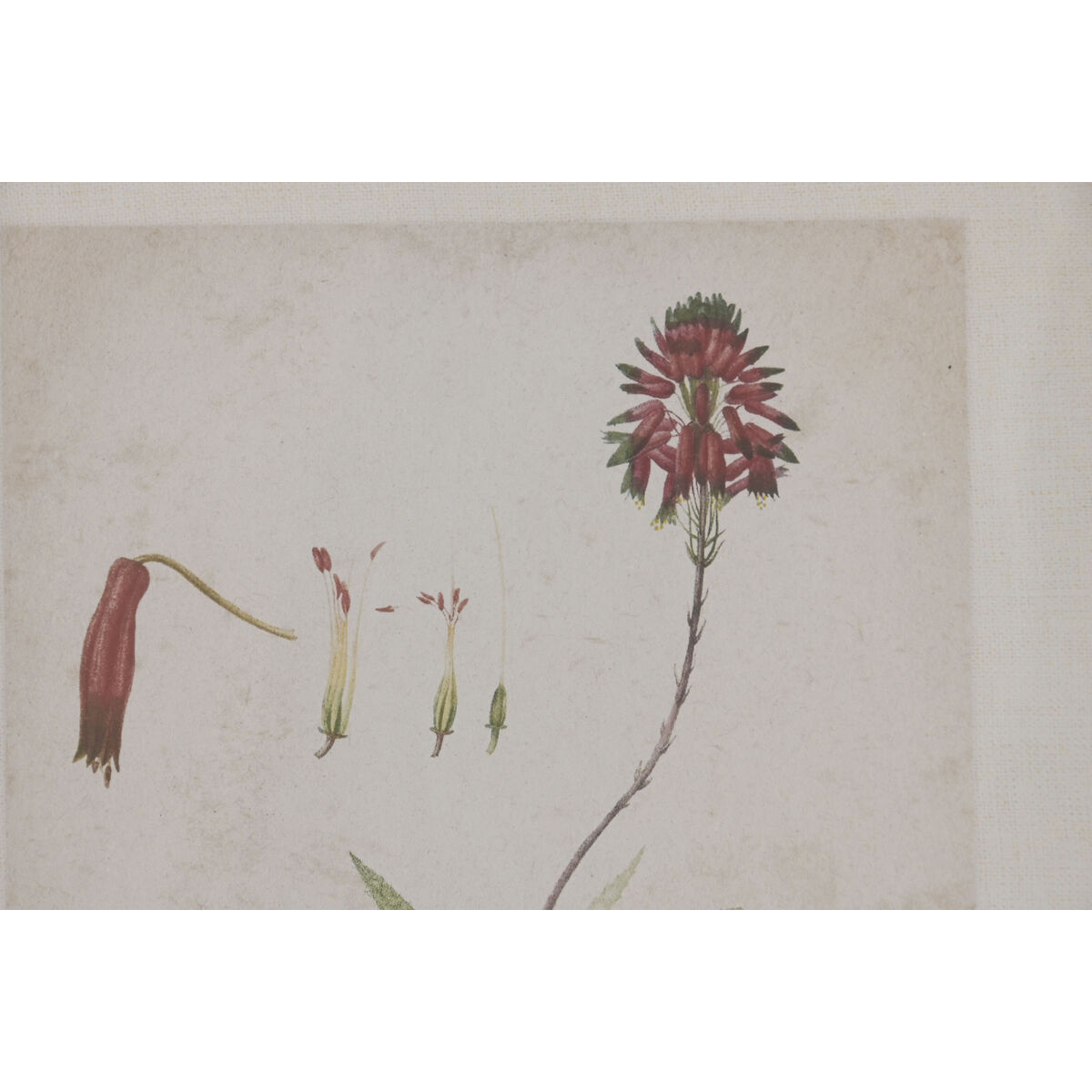 Painting Home ESPRIT Green Beige Palms Tropical 30 x 2 x 40 cm (6 Units)
