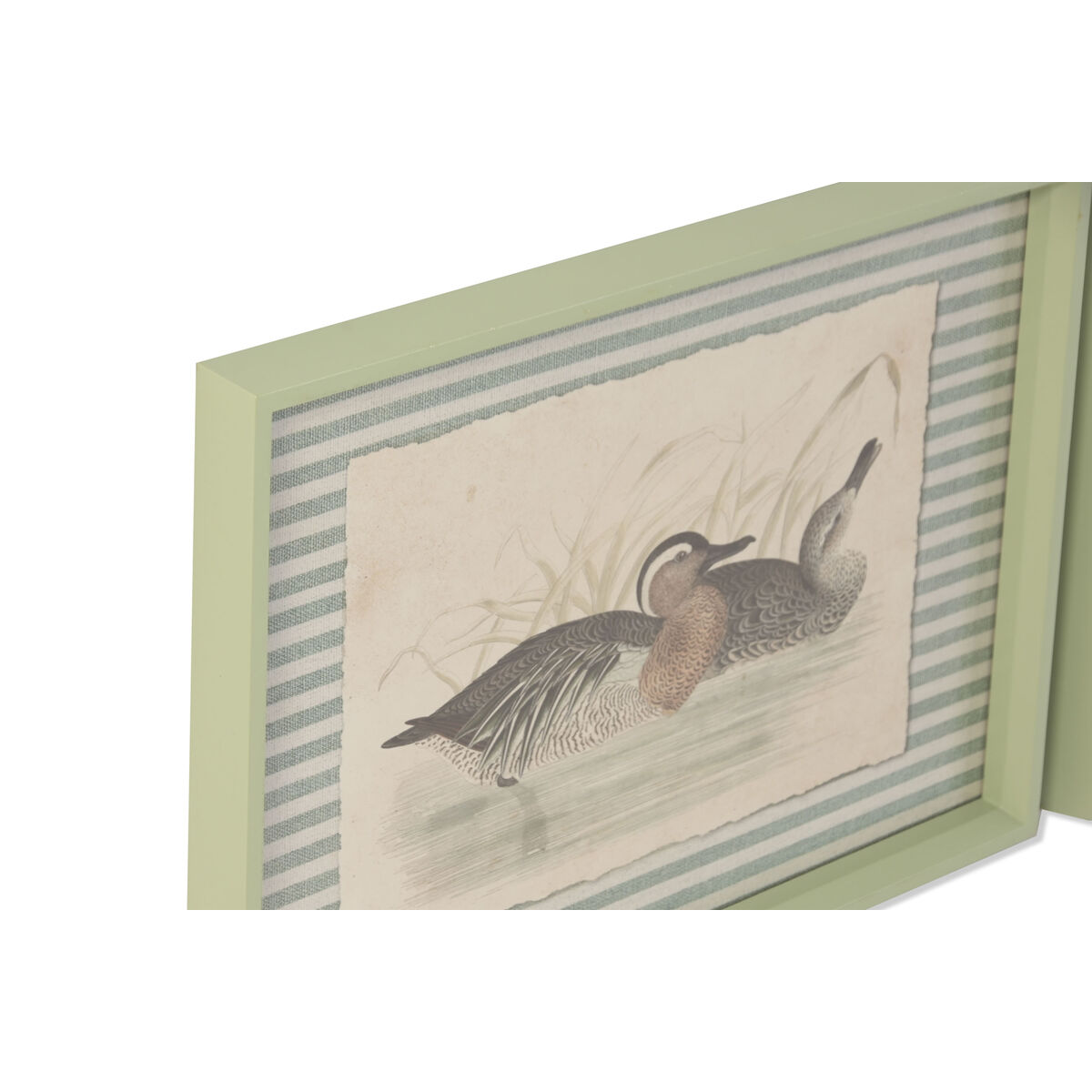 Painting Home ESPRIT Green Cottage (9Units)