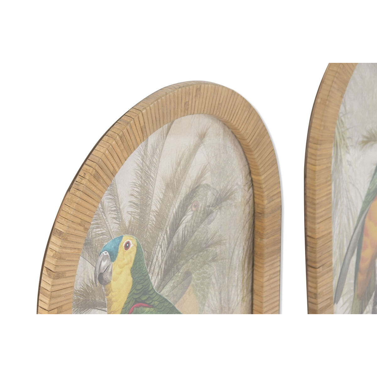 Painting Home ESPRIT Green Natural Parrot Tropical 35 X 2,5 X 60 CM (2 Units)